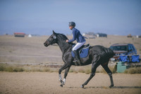 JJS_2882