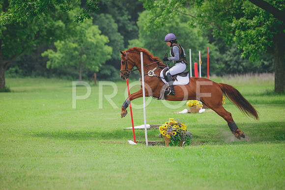 RWP_2694