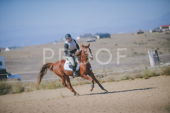JJS_6483
