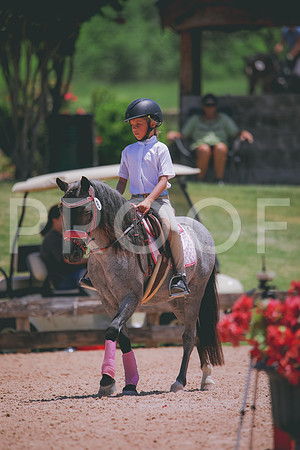 RWP_5831