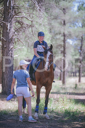 JJS_3571