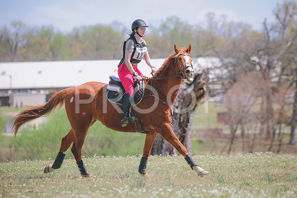 RWP_0444