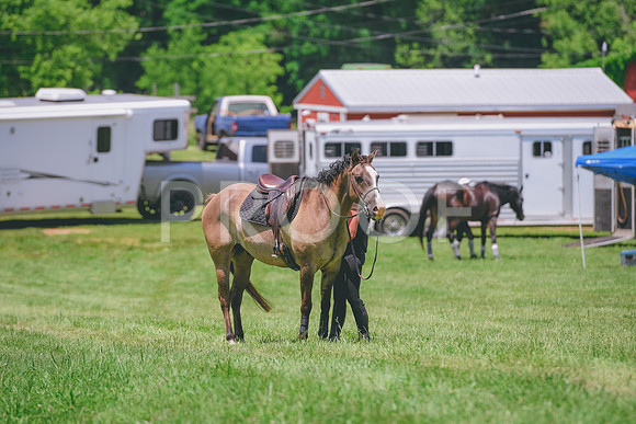 DSC_4652