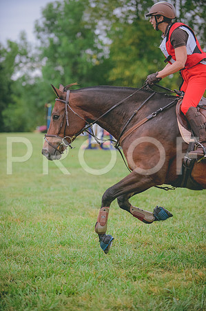 JJS_2229