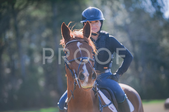 JJS_0487