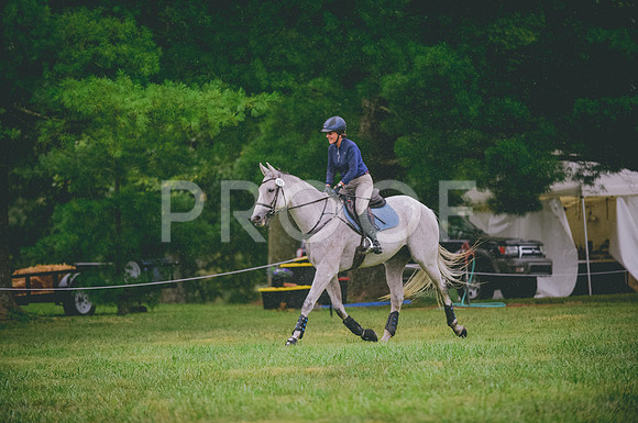 JJS_7073