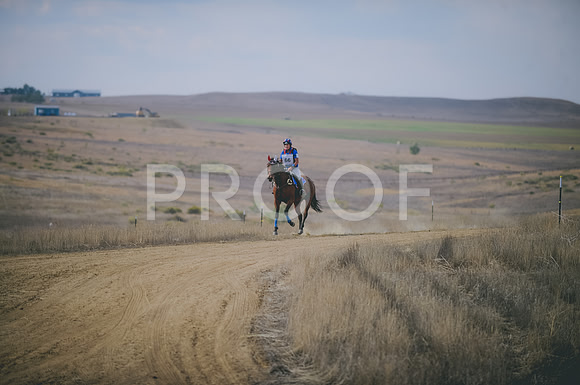JJS_0951