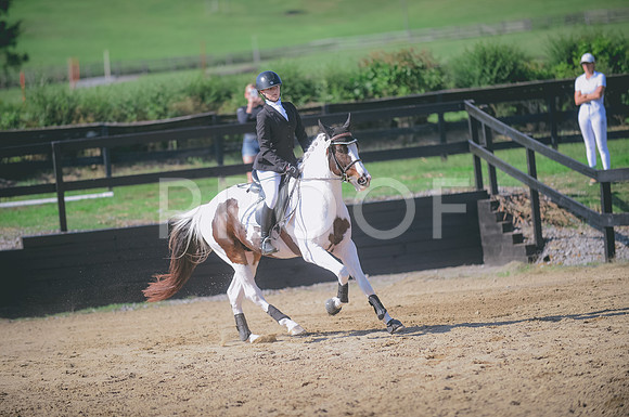 JJS_4328A