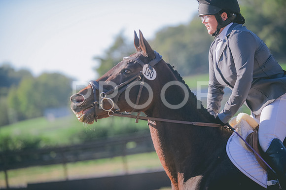 JJS_7457