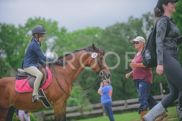 000_3766 copy