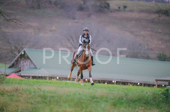 JJS_0594A