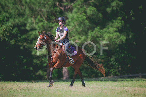 RWP_1274