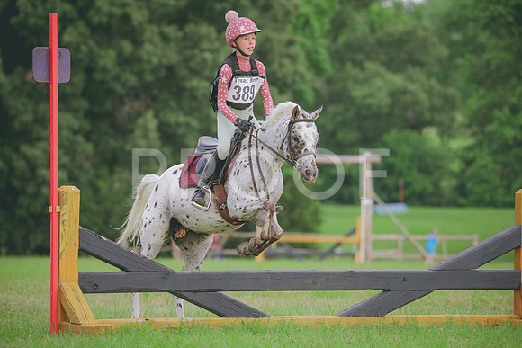 RWP_5228