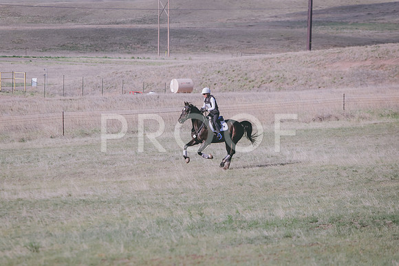 CDH_9439