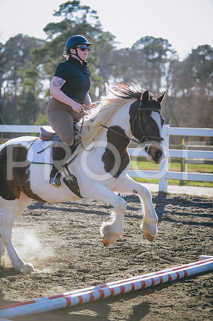 JJS_0319