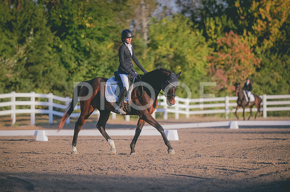 JJS_0626