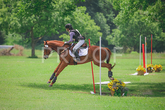 RWP_2921