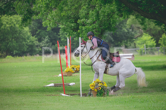 RWP_2787