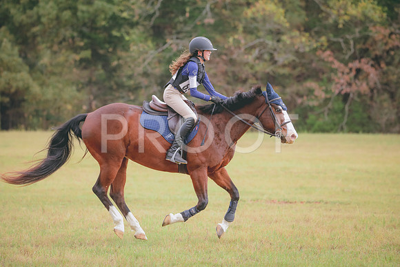 RWP_3665