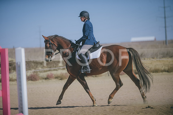 JJS_3629