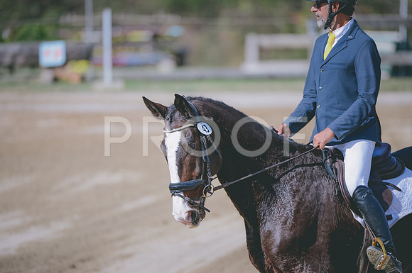 JJS_2765