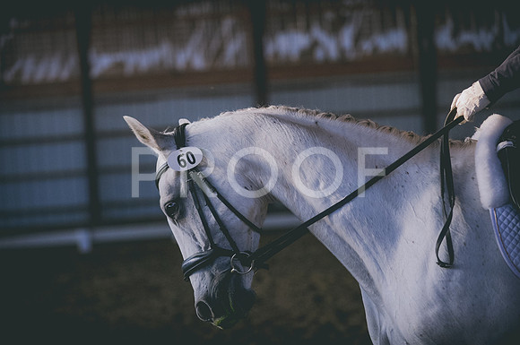 JJS_0456
