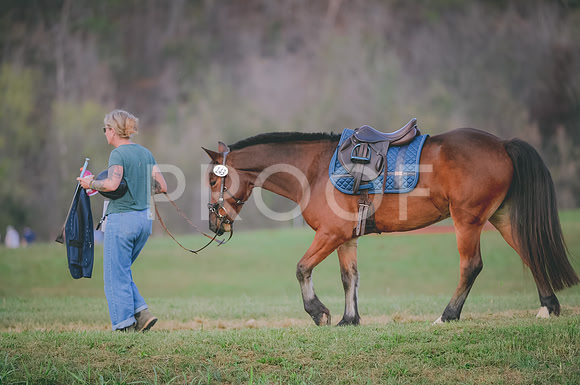 JJS_0935