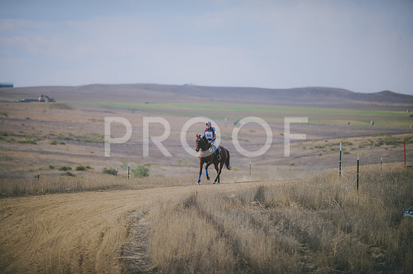 JJS_0945