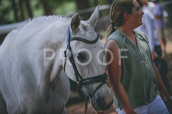 JJS_8726