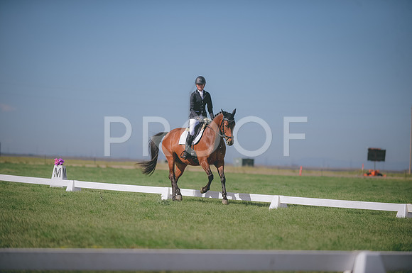 JJS_8443