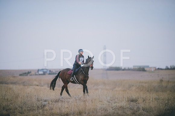 JJS_5345