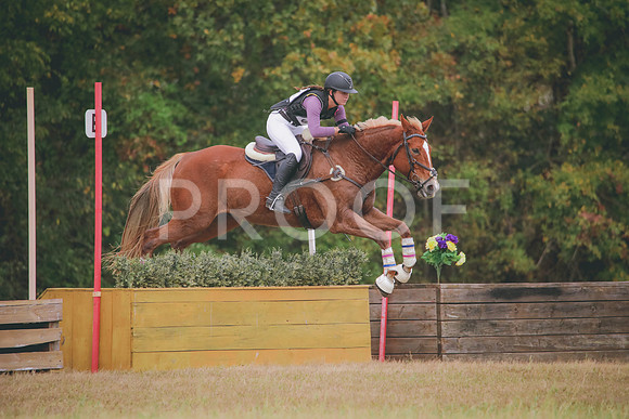 RWP_2736