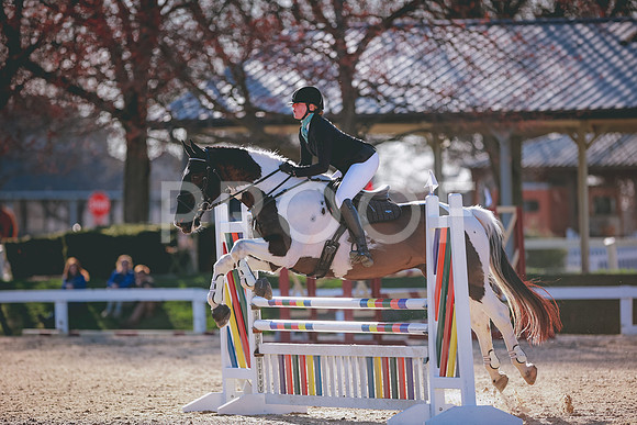 SNS_8203