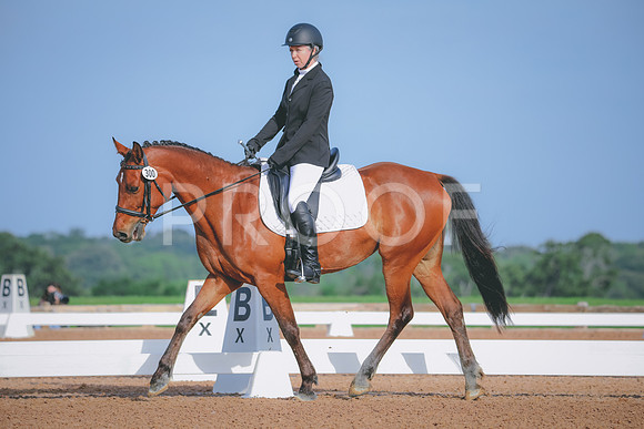 RWP_3766