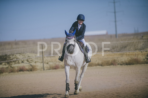 JJS_3939A