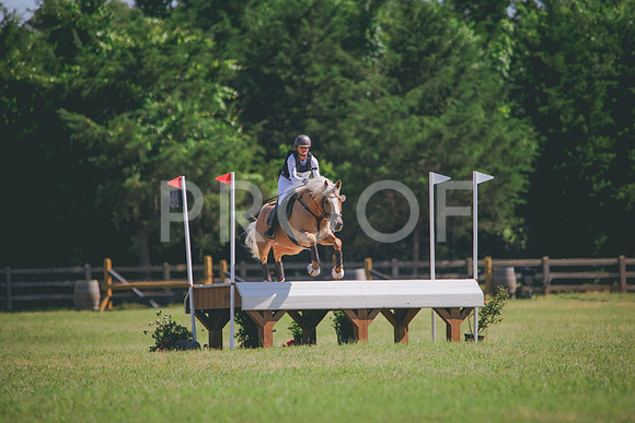 RWP_3878