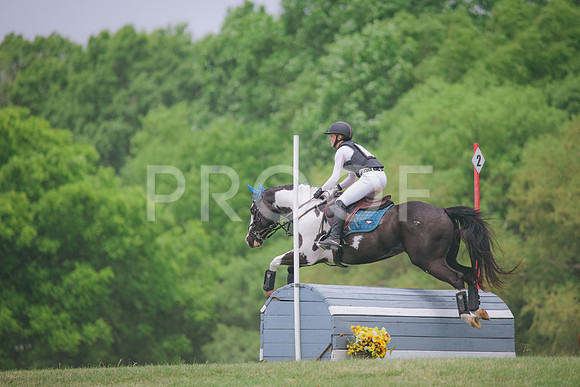 RWP_2361