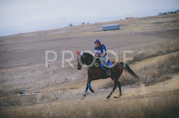 JJS_0998