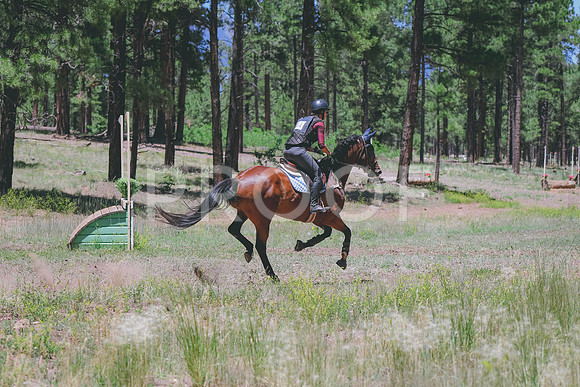 DSC_0709
