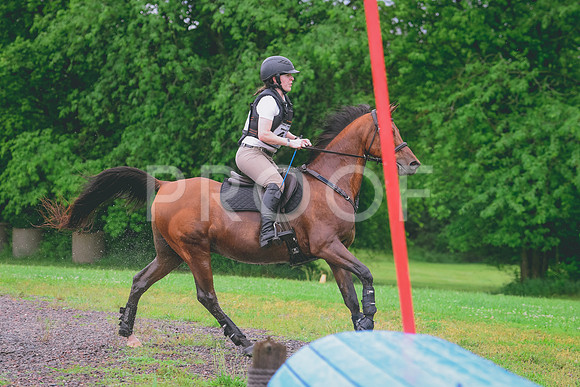 DSC_1271