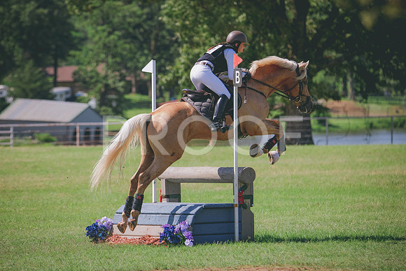 RWP_3972