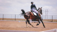 0N0A3534