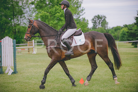 JJS_0779