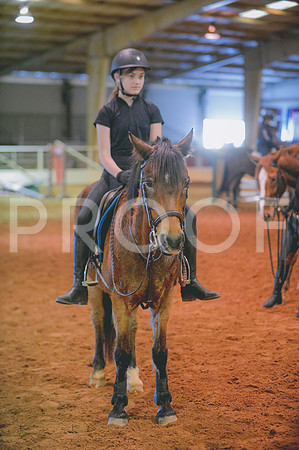 JJS_3037