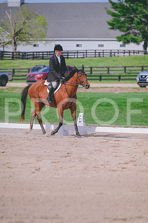 DSC_0365 copy