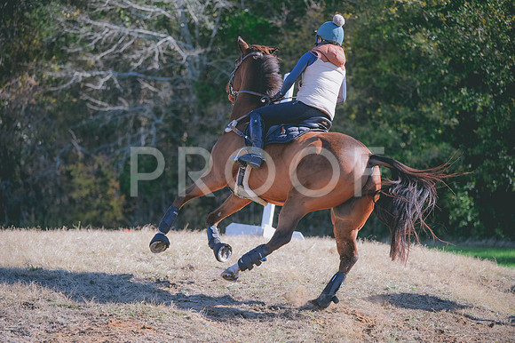 JJS_0569