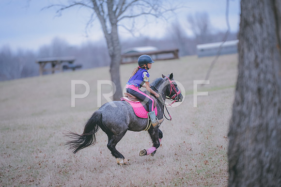 JJS_2058