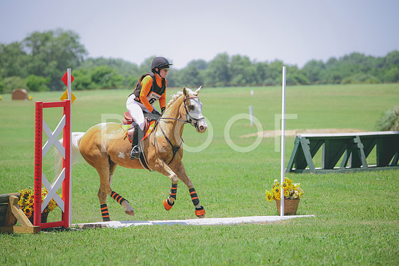 RWP_3917