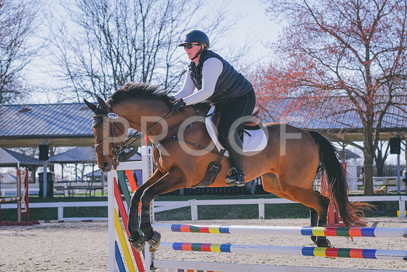 DSC_8151