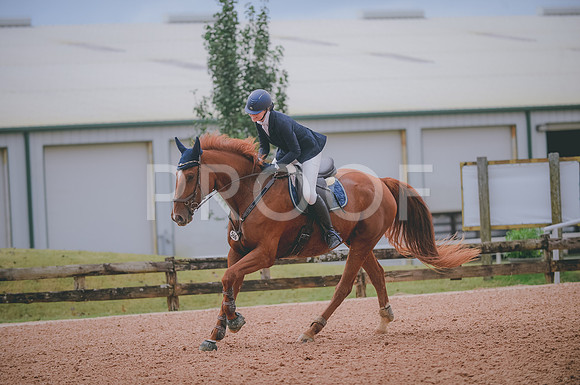 JJS_5411